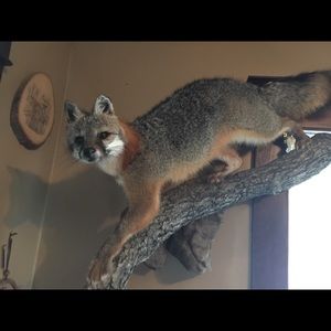 Meet your Posher, Rick